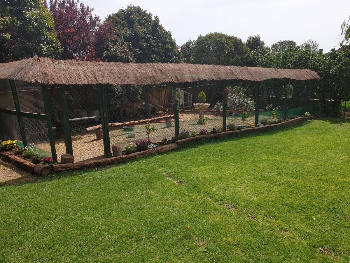 וידררס Villa Del Remei מראה חיצוני תמונה